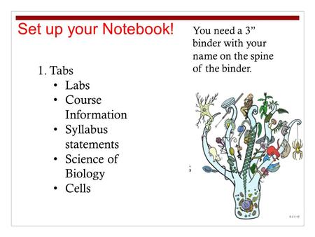Set up your Notebook! 1.Tabs Labs Course Information Syllabus statements Science of Biology Cells You need a 3” binder with your name on the spine of the.