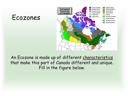 An Ecozone is made up of different characteristics that make this part of Canada different and unique. Fill in the figure below. Ecozones.