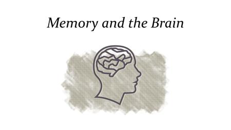 Memory and the Brain Processing……….. Shallow processing- encoding on a basic level based on the structure or appearance of words Deep processing- encoding.