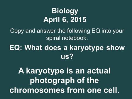 Biology April 6, 2015 Copy and answer the following EQ into your spiral notebook. EQ: What does a karyotype show us? A karyotype is an actual photograph.