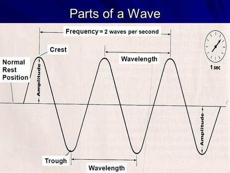 Parts of a Wave Crest Wavelength Trough Normal Rest Position Frequency = 2 waves per second.