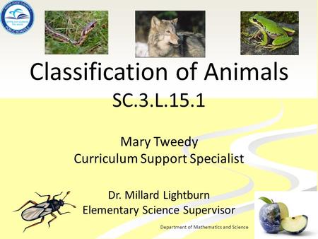 Department of Mathematics and Science Classification of Animals SC.3.L.15.1 Mary Tweedy Curriculum Support Specialist Dr. Millard Lightburn Elementary.