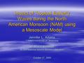 Impact of Tropical Easterly Waves during the North American Monsoon (NAM) using a Mesoscale Model Jennifer L. Adams CIMMS/University of Oklahoma Dr. David.