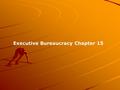 Executive Bureaucracy Chapter 15. A.Introduction 1.What is the Bureaucracy? a.Definition: any large, complex administrative structure; a hierarchical.