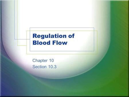 Regulation of Blood Flow Chapter 10 Section 10.3.