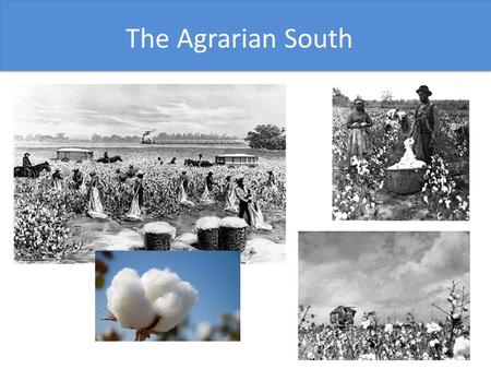 The North The Agrarian South. With the growth of textile mills in the North, the demand for cotton grew rapidly. Long-staple cotton was easy to process.