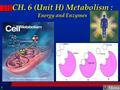 Menu 1 CH. 6 (Unit H) Metabolism : Energy and Enzymes.