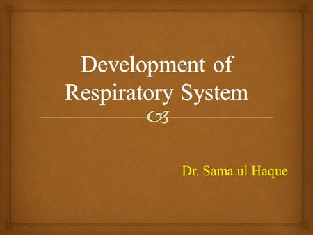Dr. Sama ul Haque.   Discuss the formation of the lung buds.  Describe the development of larynx.  Explain the mechanism of formation of trachea,