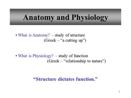 1 Anatomy and Physiology What is Anatomy? – study of structure (Greek – “a cutting up”) What is Physiology? – study of function (Greek – “relationship.