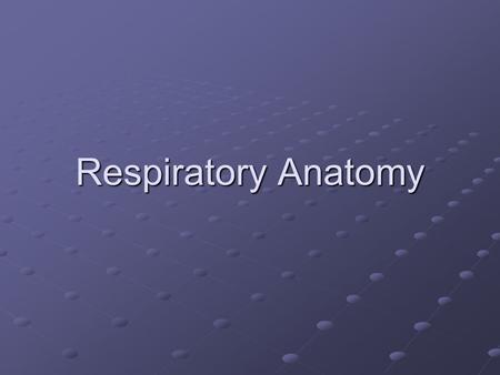 Respiratory Anatomy. Interesting Facts The surface area of the lungs is about the same size as a tennis court You lose about ½ L of water a day through.