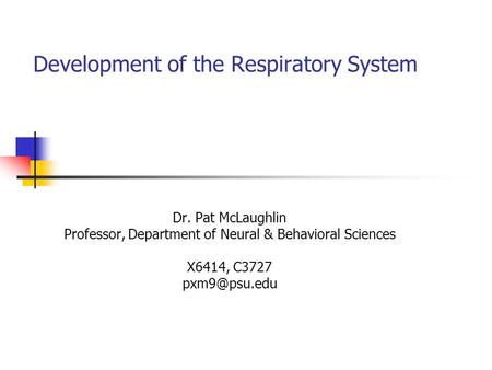 Development of the Respiratory System Dr. Pat McLaughlin Professor, Department of Neural & Behavioral Sciences X6414, C3727