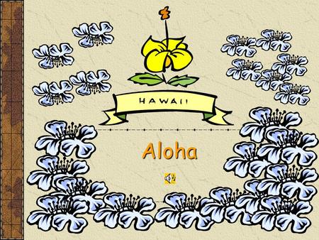 Aloha Welcome to Hawaii Look for the Arrows and Go!
