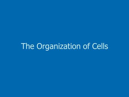 The Organization of Cells. 1. The Cell: The Basic Unit of Life The Cell: The Basic Unit of Life The Cell: The Basic Unit of Life 2. Prokaryotic Cells.
