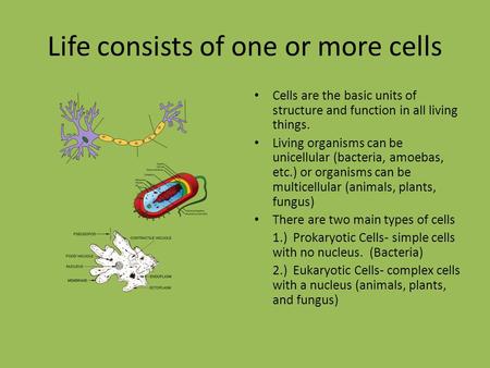 Life consists of one or more cells Cells are the basic units of structure and function in all living things. Living organisms can be unicellular (bacteria,