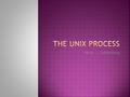 Nezer J. Zaidenberg.  Advanced programming for the unix environment (chapters about processes)