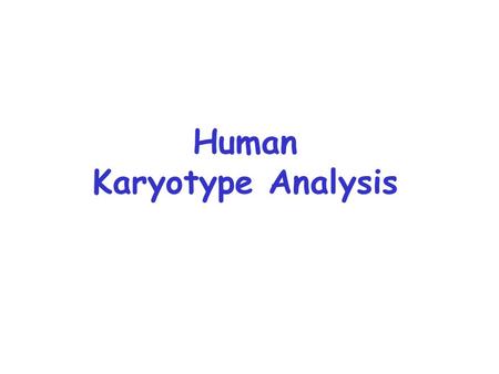 Human Karyotype Analysis. Down Syndrome: 47, +21 1 in 600-700 births epicanthic fold of skin over corner of each eye wide, flattened skull protruding,