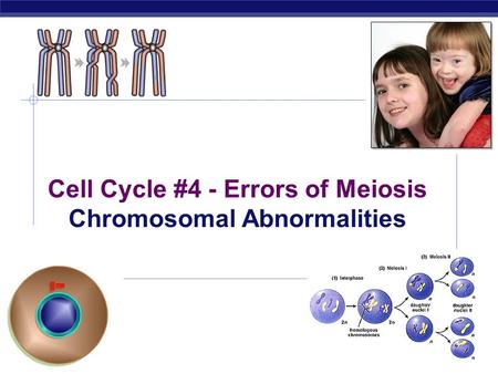 2006-2007 Cell Cycle #4 - Errors of Meiosis Chromosomal Abnormalities.