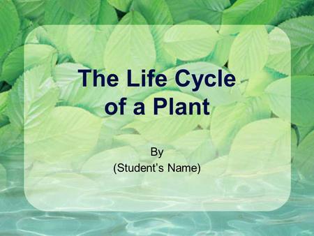 The Life Cycle of a Plant By (Student’s Name). Contents Stage 1: Growth Stage 2: Survival Stage 3: Reproduction Citations: Sources of Information.