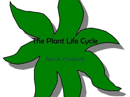 The Plant Life Cycle Toni A. Crawford.  Content Area: Science  Grade Level: 1 st grade  Summary: The purpose of this instructional Power point is to.