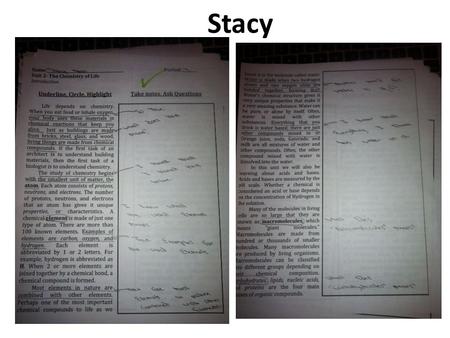 Stacy. DO NOW Answer the questions about macromolecules at the top of the class notes sheet you picked up.