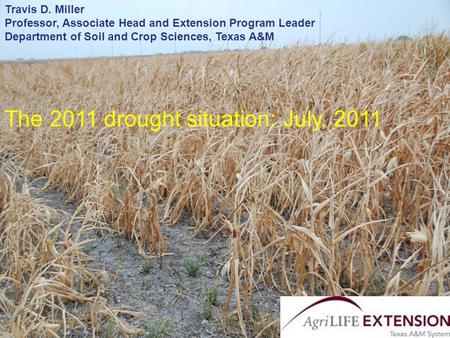 Travis D. Miller Department of Soil and Crop Sciences Texas AgriLife Extension Service The 2011 drought situation: July, 2011 Travis D. Miller Professor,