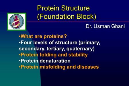 Protein Structure (Foundation Block) What are proteins? Four levels of structure (primary, secondary, tertiary, quaternary) Protein folding and stability.