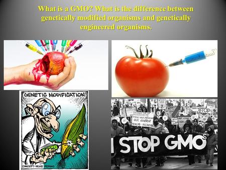 What is a GMO? What is the difference between genetically modified organisms and genetically engineered organisms.