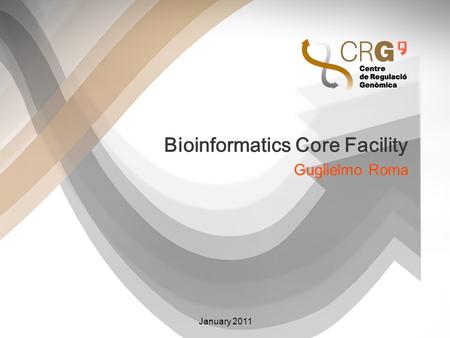 Bioinformatics Core Facility Guglielmo Roma January 2011.