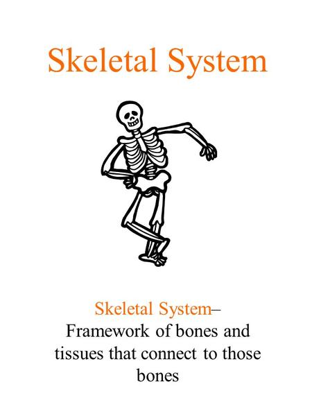 Skeletal System Skeletal System– Framework of bones and tissues that connect to those bones.