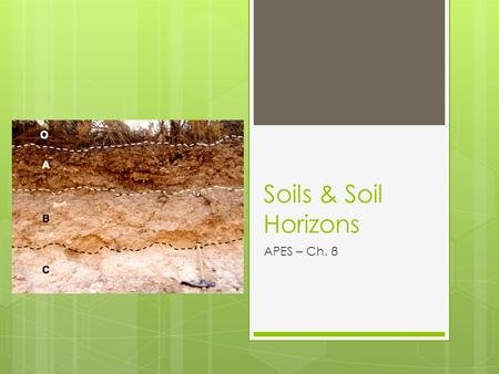 Soils & Soil Horizons APES – Ch. 8. Weathering of Minerals.