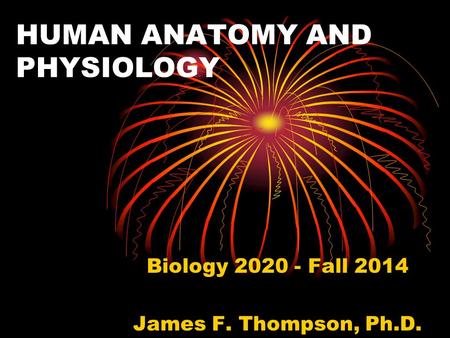 HUMAN ANATOMY AND PHYSIOLOGY Biology 2020 - Fall 2014 James F. Thompson, Ph.D.