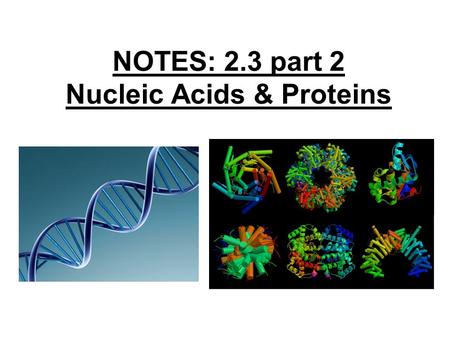 NOTES: 2.3 part 2 Nucleic Acids & Proteins. So far, we’ve covered… the following MACROMOLECULES: ● CARBOHYDRATES… ● LIPIDS… Let’s review…
