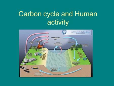 Carbon cycle and Human activity. Carbon cycle Carbon cycles though the atmosphere, living things, soils, and the ocean.Carbon cycles though the atmosphere,