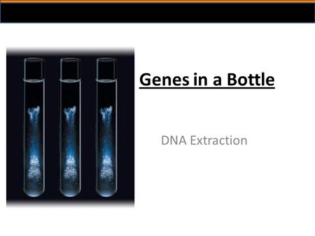 Genes in a Bottle DNA Extraction. Relevance of DNA isolation Isolation of DNA is often the first step before further analysis DNA profiling cloning disease.