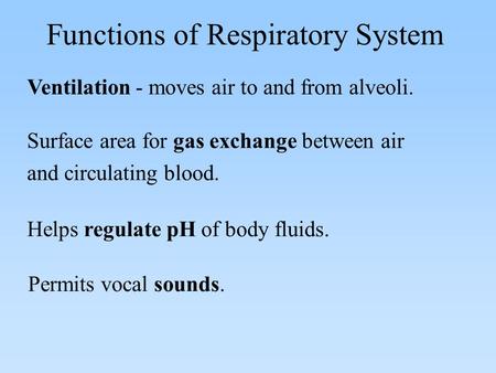 Ventilation - moves air to and from alveoli. Functions of Respiratory System Surface area for gas exchange between air and circulating blood. Helps regulate.