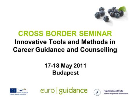 CROSS BORDER SEMINAR Innovative Tools and Methods in Career Guidance and Counselling 17-18 May 2011 Budapest.