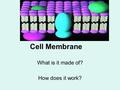 Cell Membrane What is it made of? How does it work?