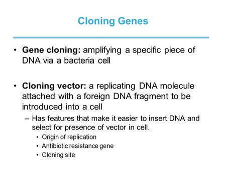 Cloning Genes Gene cloning: amplifying a specific piece of DNA via a bacteria cell Cloning vector: a replicating DNA molecule attached with a foreign DNA.