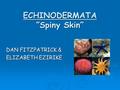ECHINODERMATA ”Spiny Skin” DAN FITZPATRICK & ELIZABETH EZIRIKE.