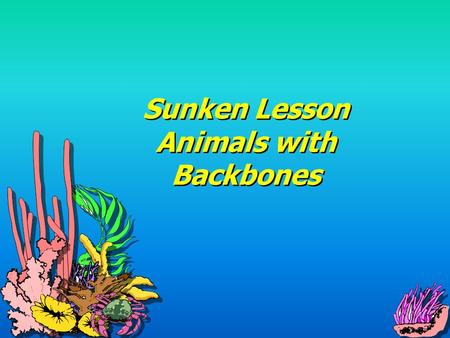 Sunken Lesson Animals with Backbones Fish Live in water Most have scales and fins Use their fins to move through the water Use gills to breathe Live.