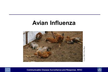 Communicable Disease Surveillance and Response, WHO Avian Influenza Credit: WHO Viet Nam.