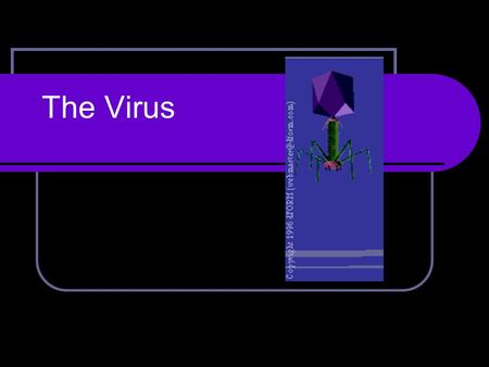 The Virus. What is a Virus? Virus Latin for Poison Non-cellular particle with DNA or RNA 1 or 2 Protein Coats (Capsids) May have Viral Envelope - Phospholipids.