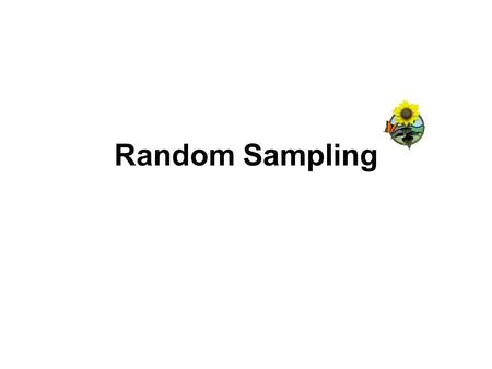 Random Sampling. Introduction Scientists cannot possibly count every organism in a population. One way to estimate the size of a population is to collect.