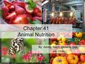 Chapter 41 Animal Nutrition By: Ashley Kelch, Melanie Diaz, Joy Chao.