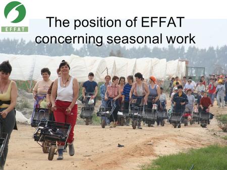 The position of EFFAT concerning seasonal work. Sectoral seasonal work Agriculture 6.8 Million workers –4 Million of them are seasonal workers Tourism.
