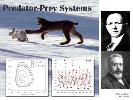 Alfred Lotka (top) Vito Volterra Predator-Prey Systems.