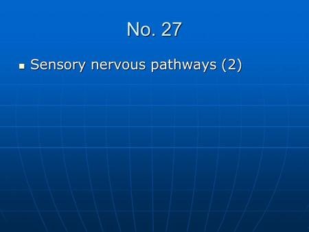 No. 27 Sensory nervous pathways (2) Sensory nervous pathways (2)