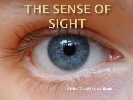 África Díaz Sánchez-Beato.  Introduction  The eye and the vision  Parts of the eye  How the eye works  Video.
