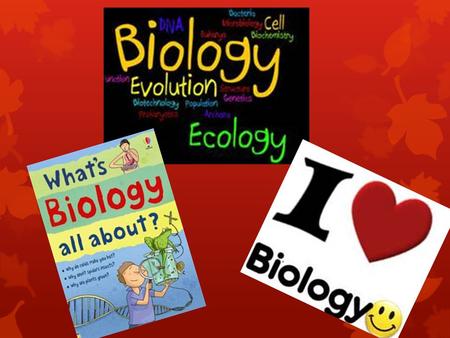 Introduction to Biology  Objectives:  Define Biology  What “other sciences” involve Biology  Describe characteristics of living things  List and.