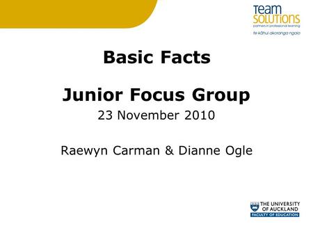 Basic Facts Junior Focus Group 23 November 2010 Raewyn Carman & Dianne Ogle.